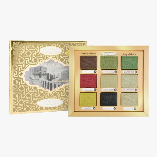 [DK1160] Savon au laurier d'Alep Cadeau avec huiles naturelles et parfums orientaux, ensemble de 9 pièces variées - 700 gr
